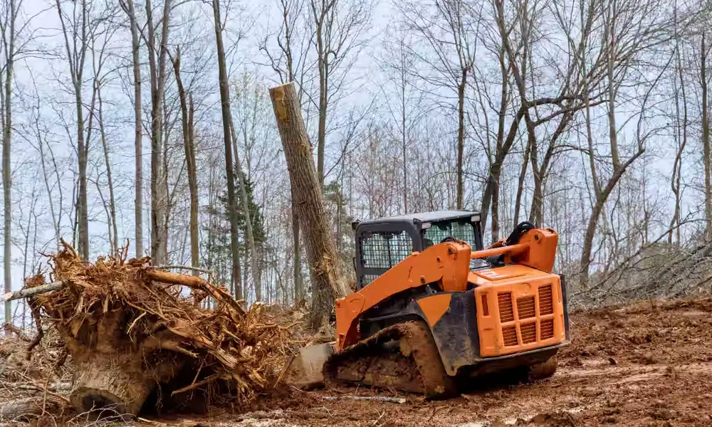 Skid steer pushing out a root ball on a wooded lot being cleared