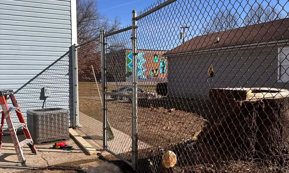 Chain-link fence beside a cut tree stump