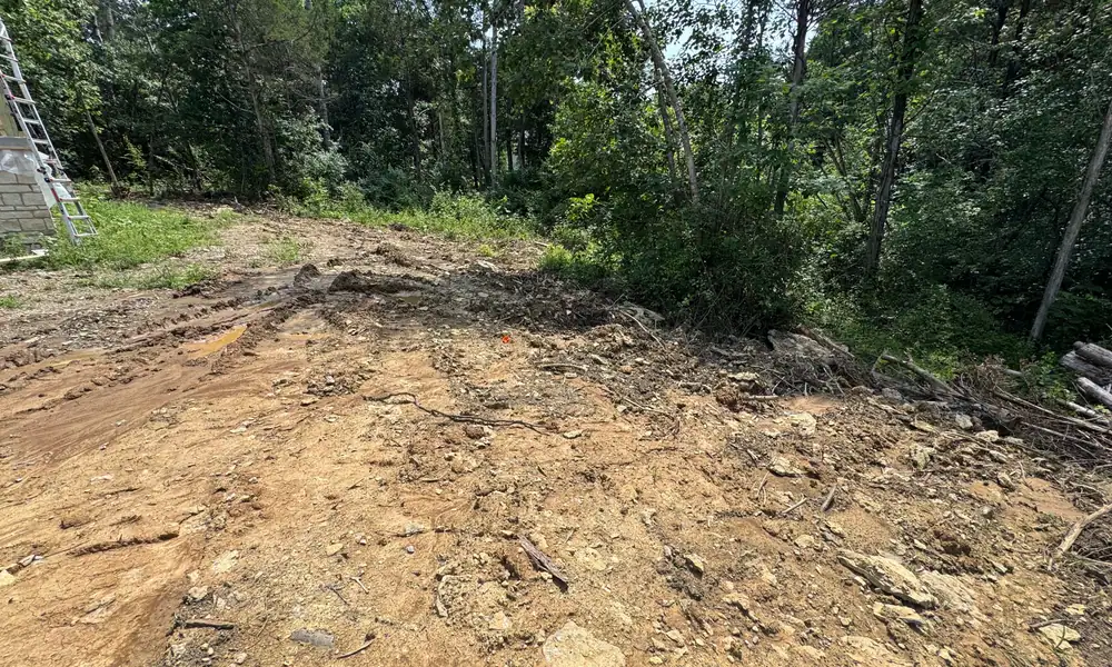 Cleared dirt pad at the edge of a tree line