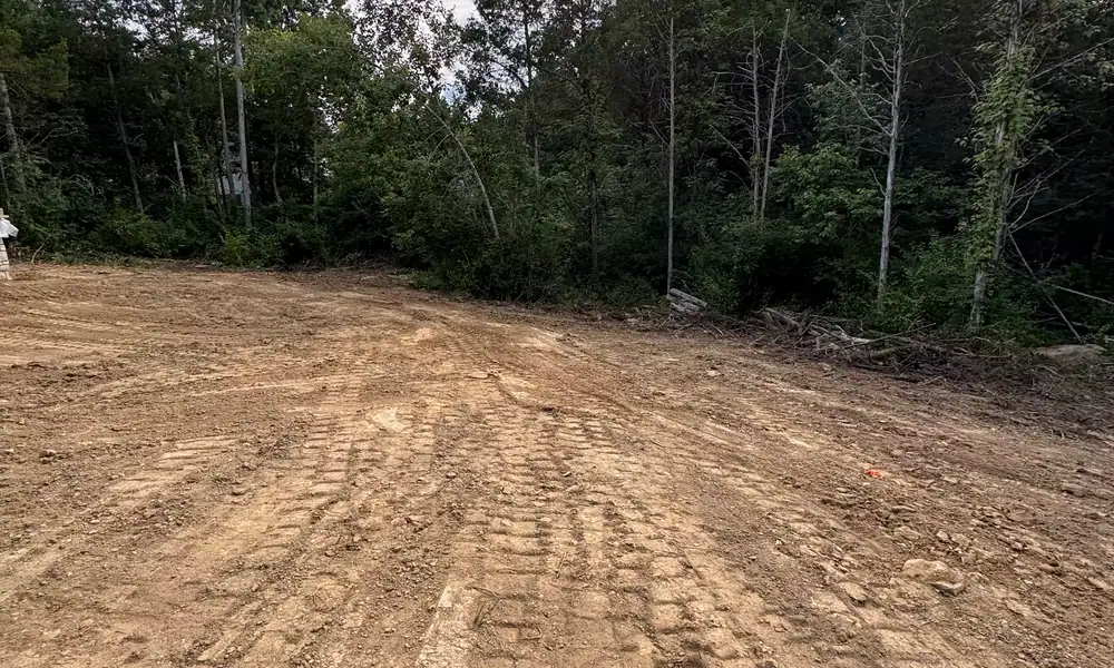 Large cleared site of bare ground at a tree line