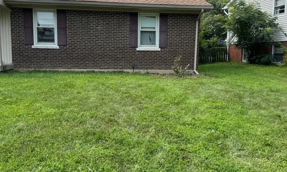 Residential lot with a clear, mown lawn