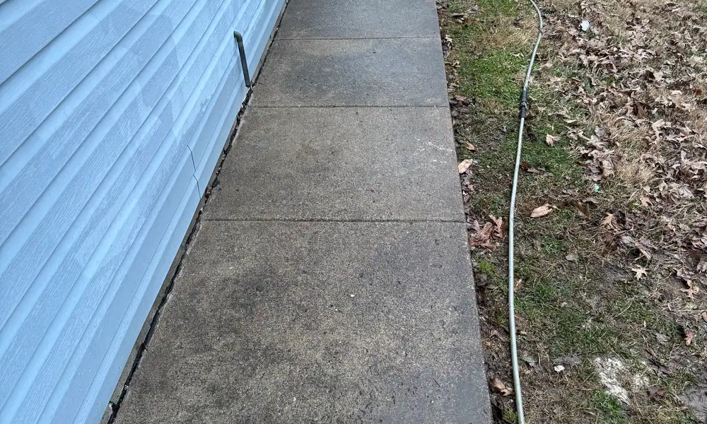 Concrete sidewalk beside house siding