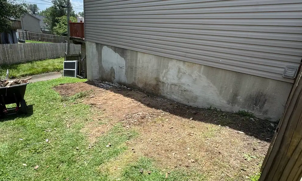 Overgrowth cleared back from a house foundation