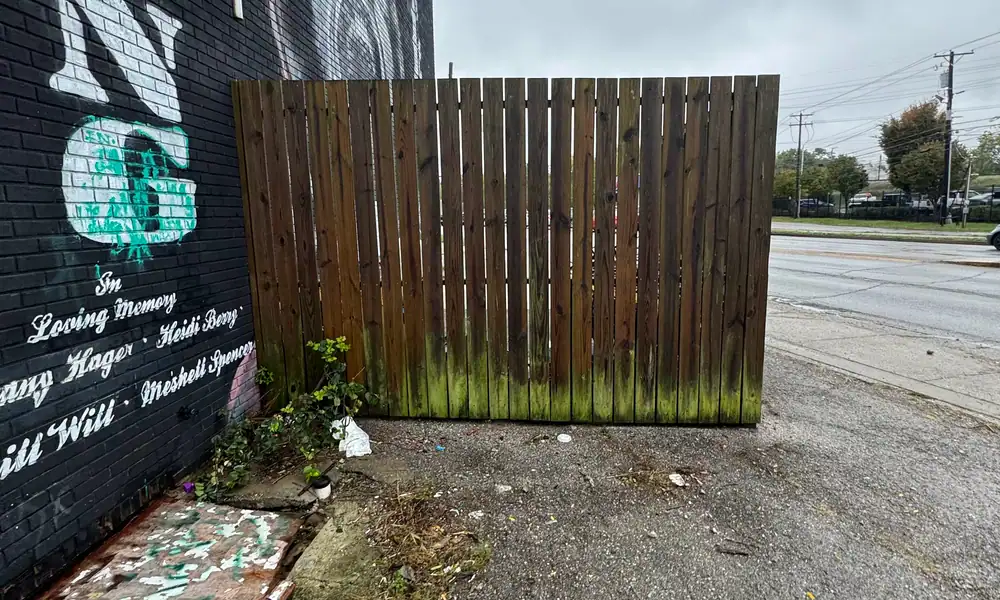 Wooden privacy fence with green algae growth