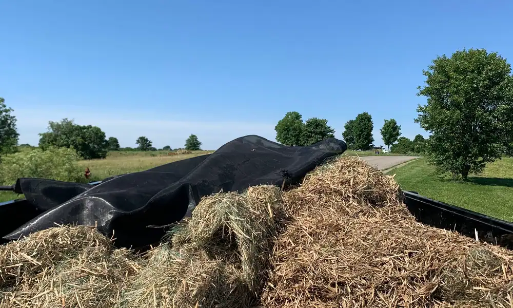 Loaded trailer covered with a tarp for hauling